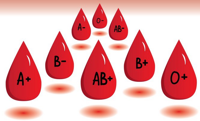 Nhóm máu và những điều bạn cần biết
