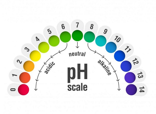 Tìm hiểu về độ pH âm đạo và pH âm đạo bao nhiêu là bình thường?